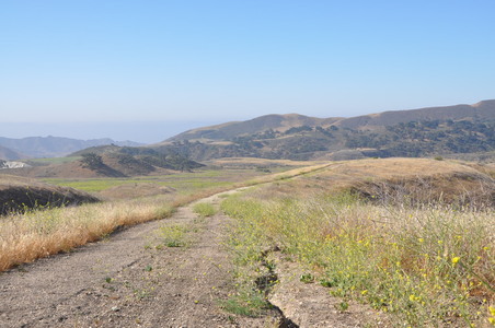 Enlarge photo 91