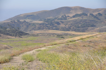 Enlarge photo 92