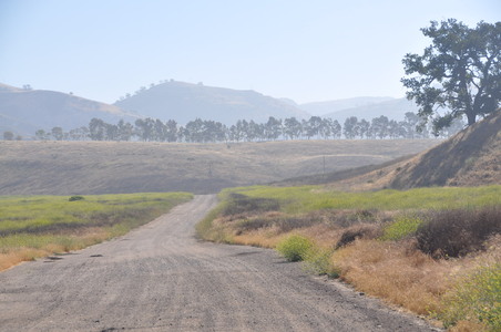 Enlarge photo 95