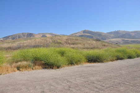 Enlarge photo 99