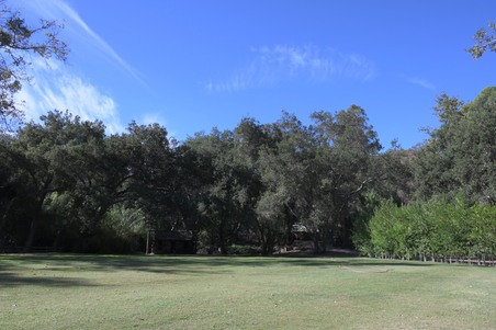 Enlarge photo 14