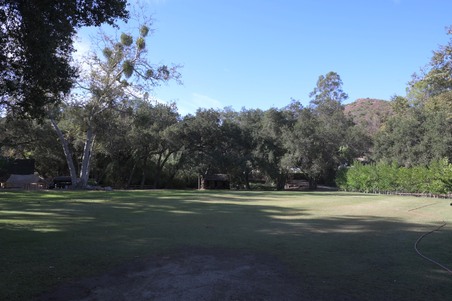 Enlarge photo 23