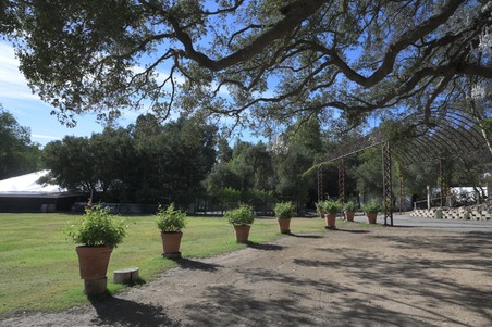 Enlarge photo 36