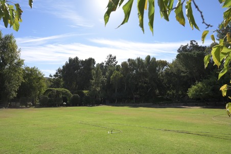 Enlarge photo 37