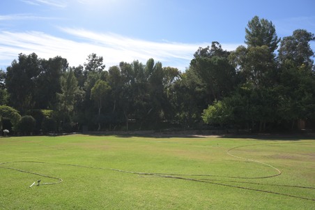 Enlarge photo 38