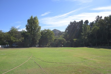 Enlarge photo 39