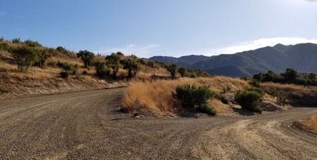 Enlarge photo 6