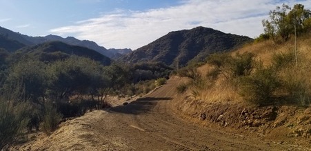 Enlarge photo 7