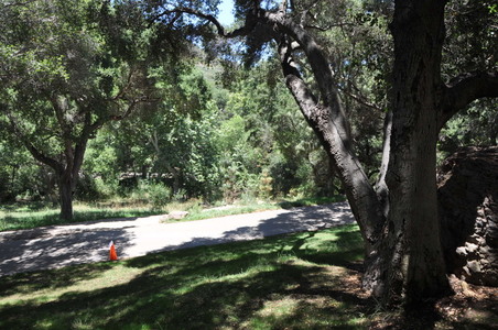 Enlarge photo 22
