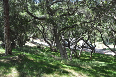 Enlarge photo 24