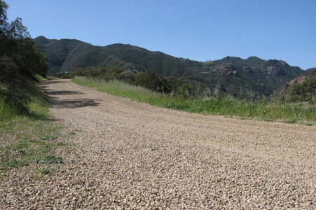 Enlarge photo 26