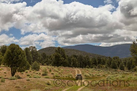 Enlarge photo 20