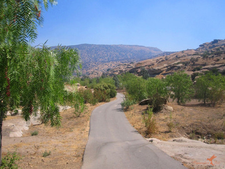 Enlarge photo 3