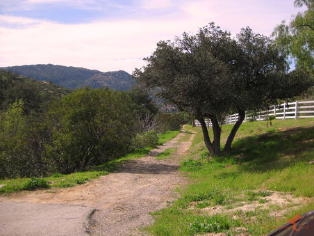 Enlarge photo 10