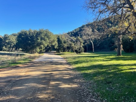 Ventura_Farms