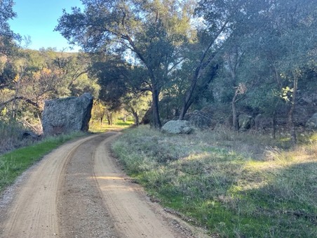 Enlarge photo 9