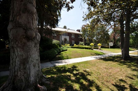Enlarge photo 13