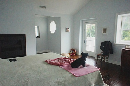 Enlarge photo 81
