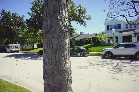 Enlarge photo 106