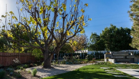 Enlarge photo 46
