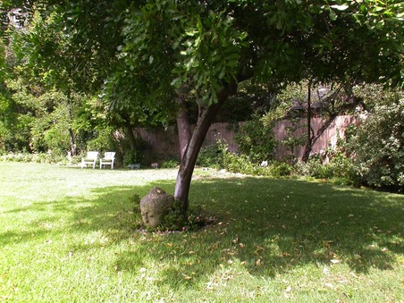 Enlarge photo 54
