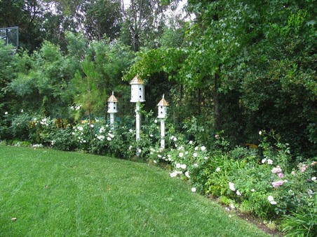 Enlarge photo 56