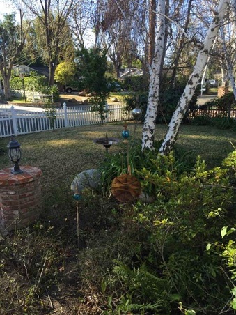 Enlarge photo 57