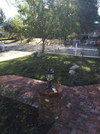 Enlarge photo 58