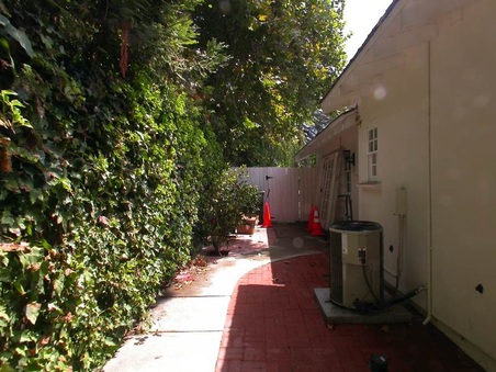 Enlarge photo 73