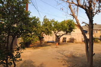 Enlarge photo 85