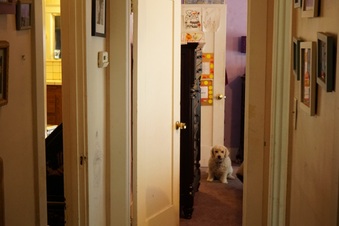 Enlarge photo 39