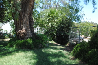 Enlarge photo 14