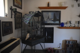 Enlarge photo 41