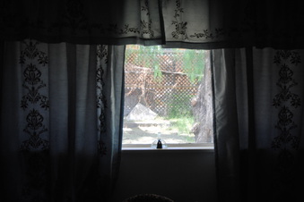 Enlarge photo 51