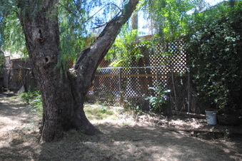 Enlarge photo 76