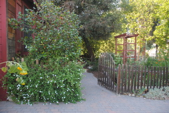 Enlarge photo 11