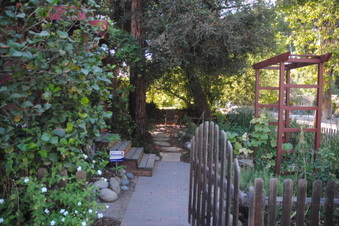 Enlarge photo 15