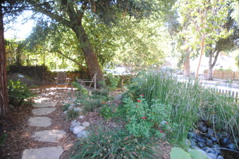 Enlarge photo 16