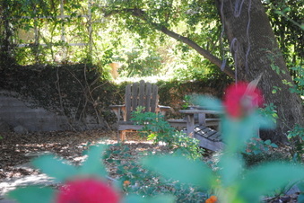 Enlarge photo 18