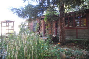 Enlarge photo 22