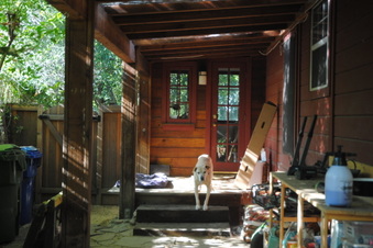 Enlarge photo 73