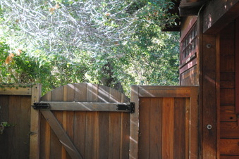 Enlarge photo 75
