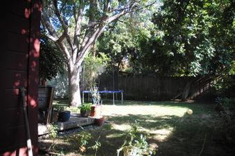 Enlarge photo 78