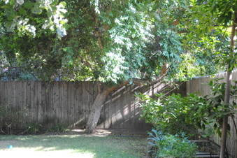 Enlarge photo 79
