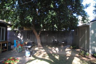 Enlarge photo 82