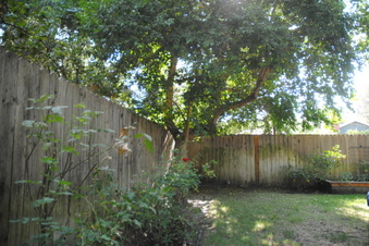 Enlarge photo 85