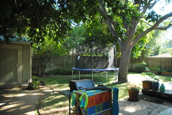 Enlarge photo 92