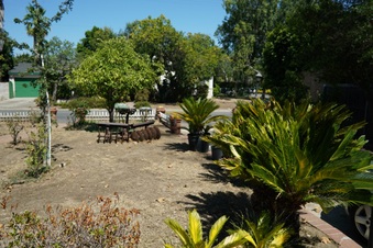 Enlarge photo 12