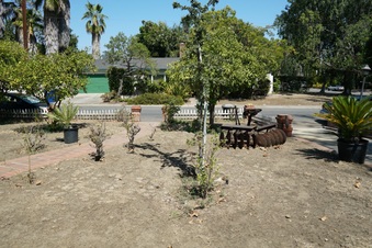 Enlarge photo 13