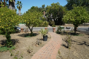 Enlarge photo 53